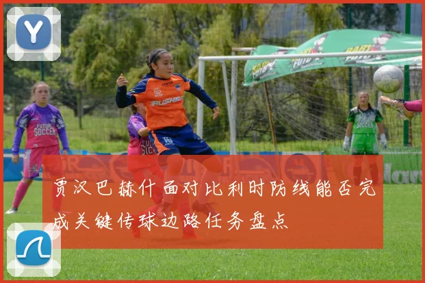 贾汉巴赫什面对比利时防线能否完成关键传球边路任务盘点