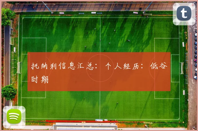 托纳利信息汇总：个人经历：低谷时期