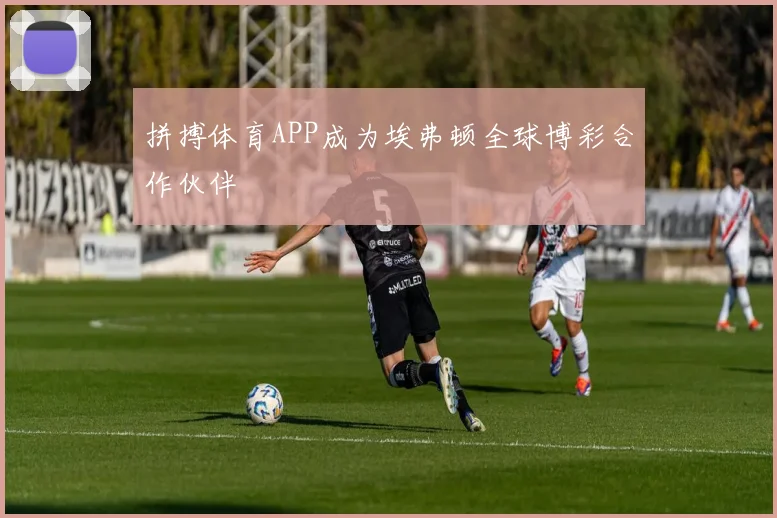 拼搏体育APP成为埃弗顿全球博彩合作伙伴