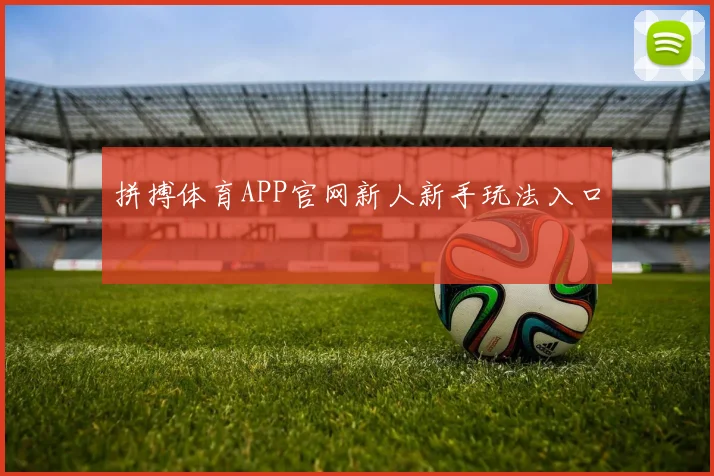 拼搏体育APP官网新人新手玩法入口