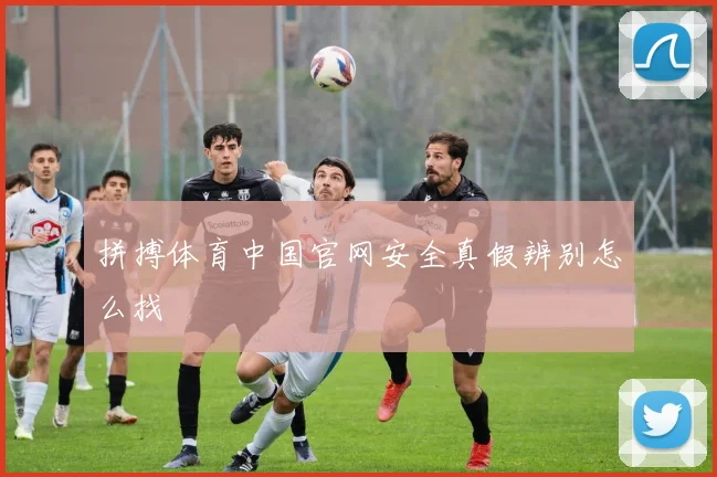 拼搏体育中国官网安全真假辨别怎么找