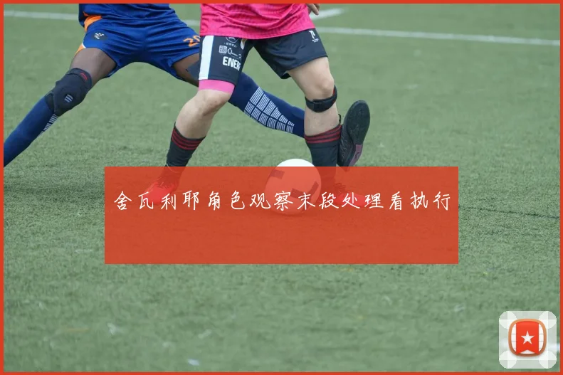 舍瓦利耶角色观察末段处理看执行