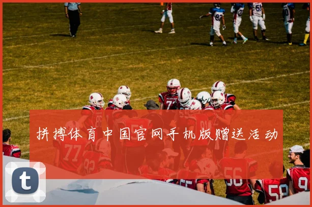 拼搏体育中国官网手机版赠送活动