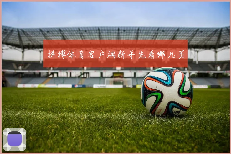 拼搏体育客户端新手先看哪几页