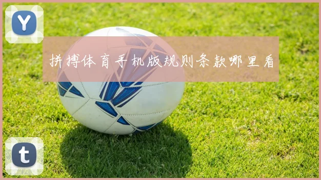 拼搏体育手机版规则条款哪里看
