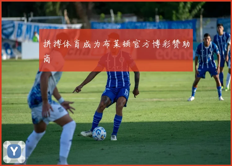 拼搏体育成为布莱顿官方博彩赞助商